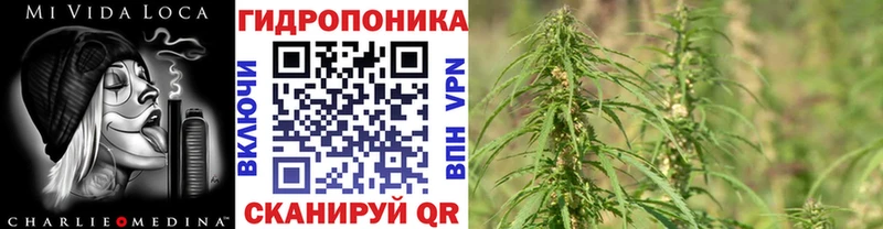 Где купить Цоци-Юрт ГАШ  Конопля  Псилоцибиновые грибы  Меф мяу мяу  Alpha-PVP 