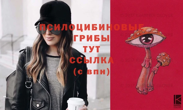 эйфоретик Алексеевка